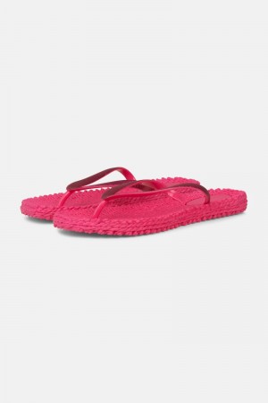 Ilse Jacobsen cheerful01 Flip Flops Damen Rosa | 4582WYNTA