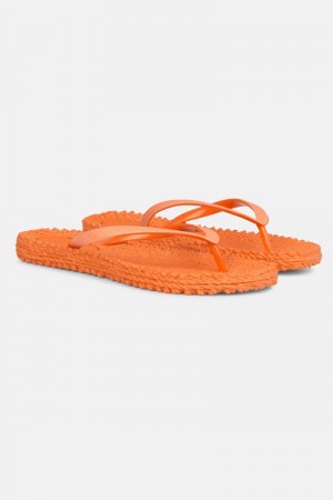 Ilse Jacobsen cheerful01 Flip Flops Damen Spice | 5328QTIEU