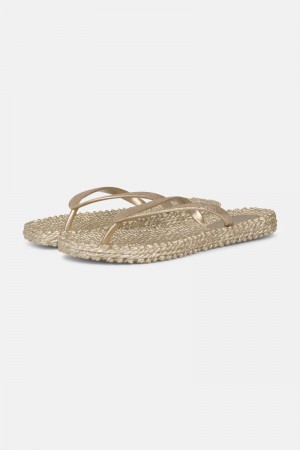 Ilse Jacobsen cheerful01 Flip Flops Damen Platin | 2801EFRCL