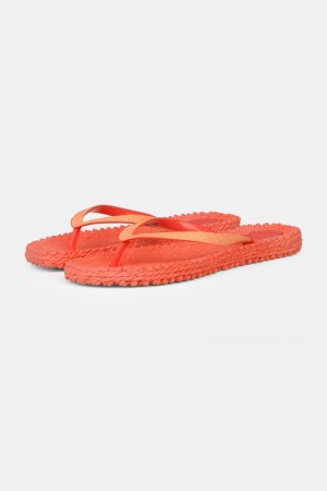 Ilse Jacobsen cheerful01 Flip Flops Damen Rot | 8592WBFGV