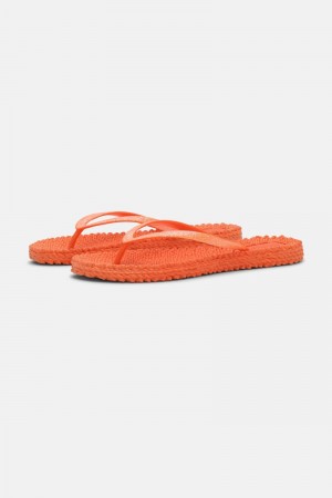 Ilse Jacobsen cheerful01 Flip Flops Damen Orange | 3765ALYSX