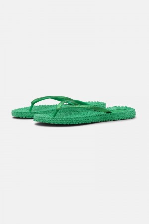 Ilse Jacobsen cheerful01 Flip Flops Damen Grün | 9560KLTBJ