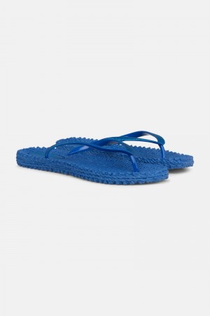 Ilse Jacobsen cheerful01 Flip Flops Damen Blau | 7019UYCPX