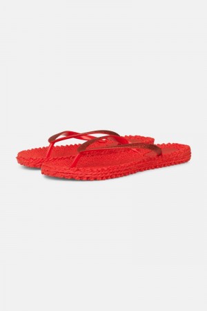 Ilse Jacobsen cheerful01 Flip Flops Damen Tiefesrot | 8497QUNPT