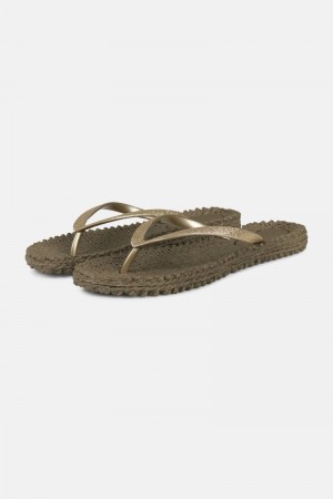 Ilse Jacobsen cheerful01 Flip Flops Damen Braun | 5026EJVGC