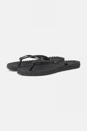 Ilse Jacobsen cheerful01 Flip Flops Damen Schwarz | 9762BOJSH