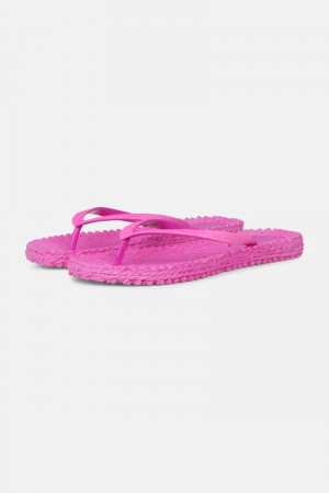 Ilse Jacobsen cheerful01 Flip Flops Damen Rosa | 7941QVYKT