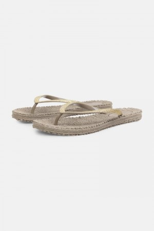 Ilse Jacobsen cheerful01 Flip Flops Damen Atmosphere | 2317PMNSD