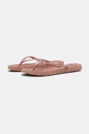 Ilse Jacobsen cheerful02 Flip Flops Damen Rosa | 3289AGRXT