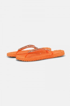 Ilse Jacobsen cheerful03g Flip Flops Damen Spice | 3709UKDNG