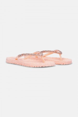 Ilse Jacobsen cheerful03g Flip Flops Damen Koralle | 4053KTZNA