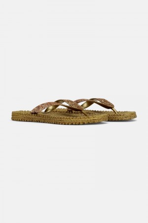 Ilse Jacobsen cheerful12b Flip Flops Damen Gold | 2903FTPGH