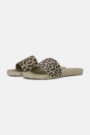 Ilse Jacobsen cheri0190gl Flip Flops Damen Platin | 5247QVIPD