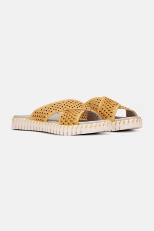 Ilse Jacobsen tulip1575 Sandalen Damen Golden Rod | 3845QLTIV