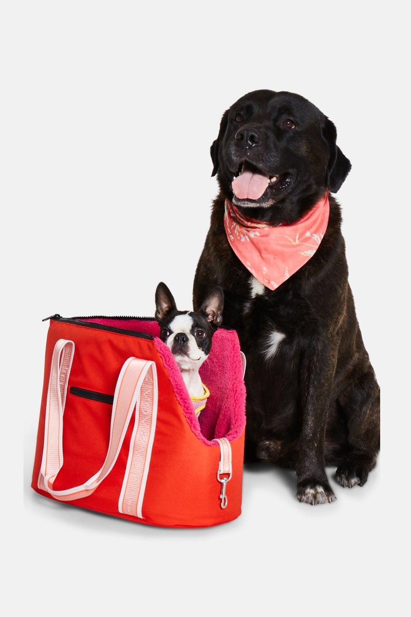 Ilse Jacobsen carryingdog01 Vov-Vuf Damen Rot Orange | 7216GEDJH