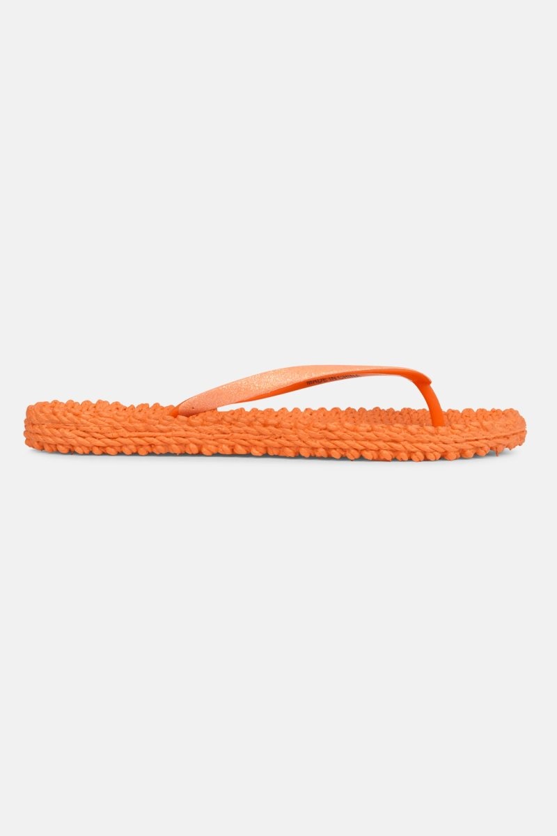 Ilse Jacobsen cheerful01 Flip Flops Damen Spice | 5328QTIEU