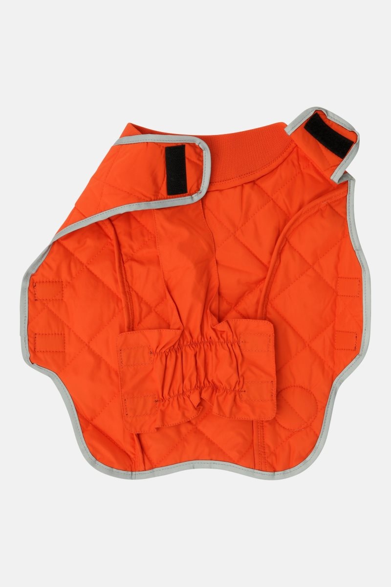 Ilse Jacobsen dogart05 Vov-Vuf Damen Orange | 6237CFDMK